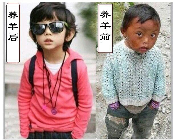 选胖娃牧业有限公司无需太多理由