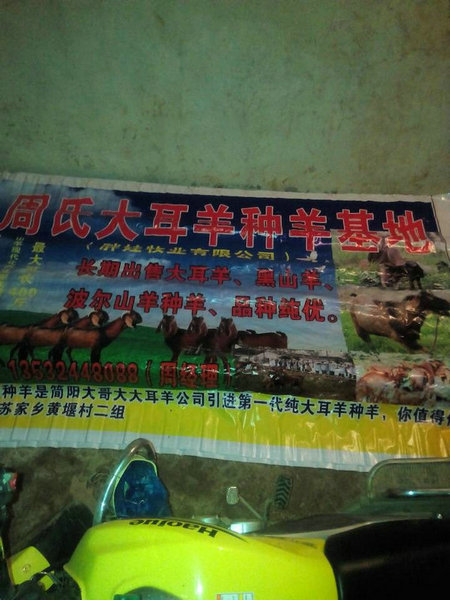 宣传海报